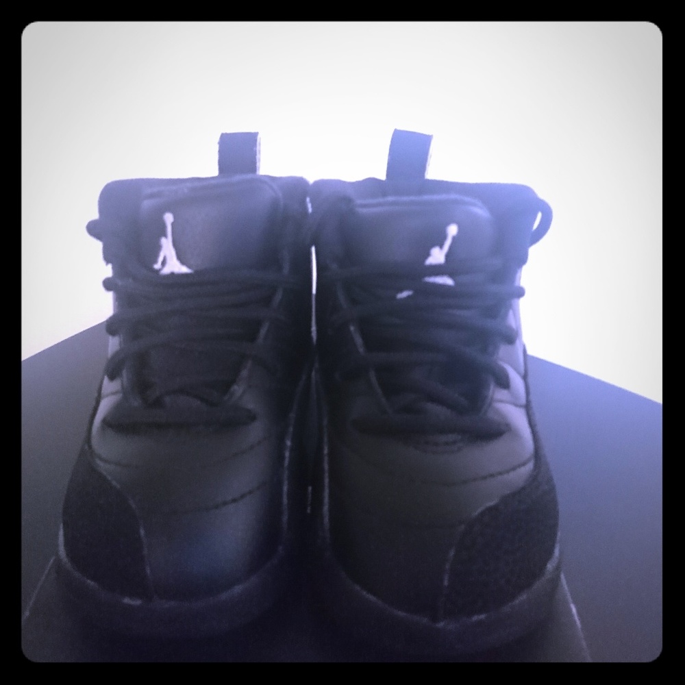 Jordan retro 12 master